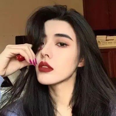 廉政追缉令国语